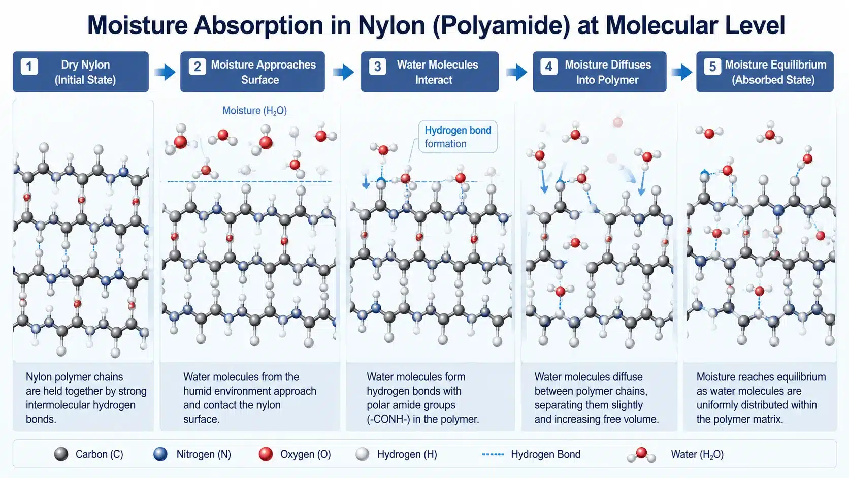 Diagram showing how moisture is absorbed into the nylon polymer chain causing changes in cable tie mechanical properties